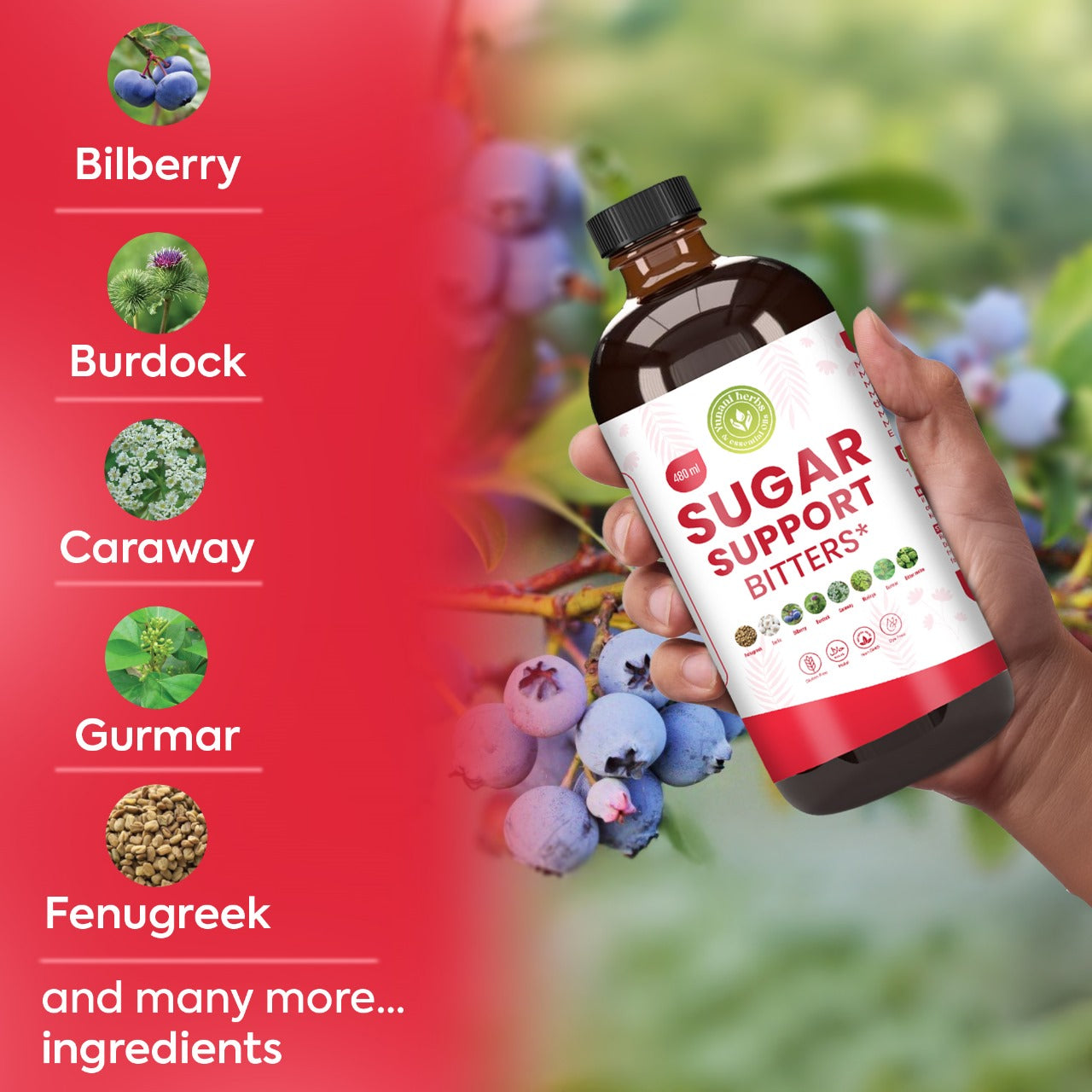 Yunani Herbs - Sugar Support Bitters for diabetes
