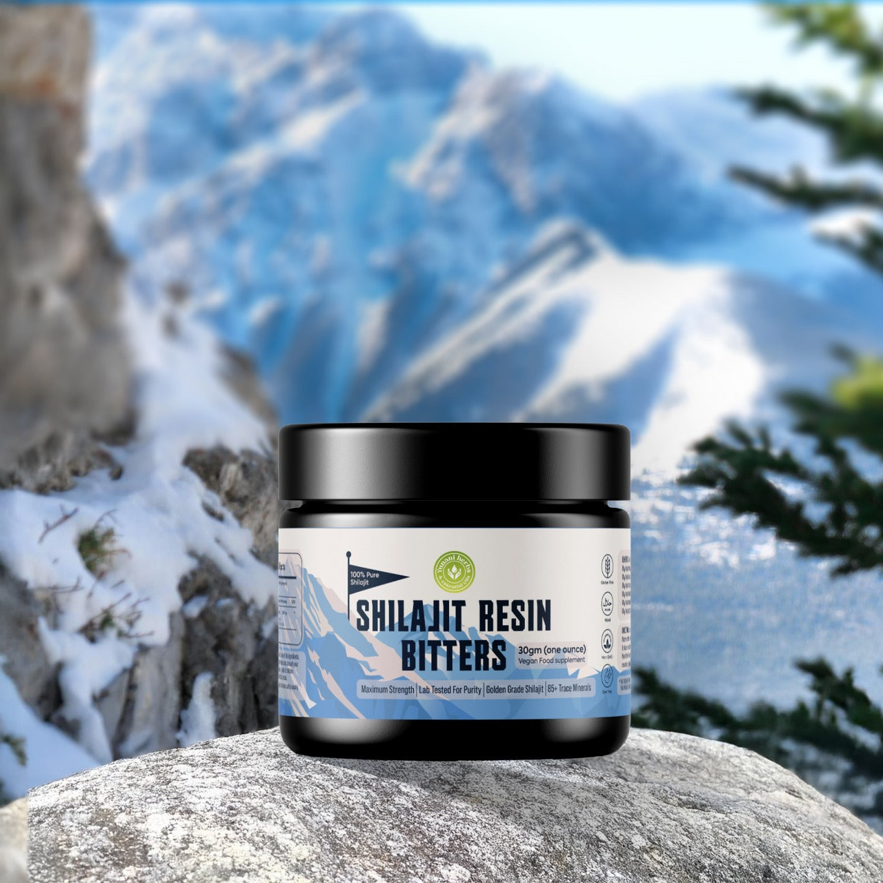 Yunani Herbs - Shilajit Resin Bitters