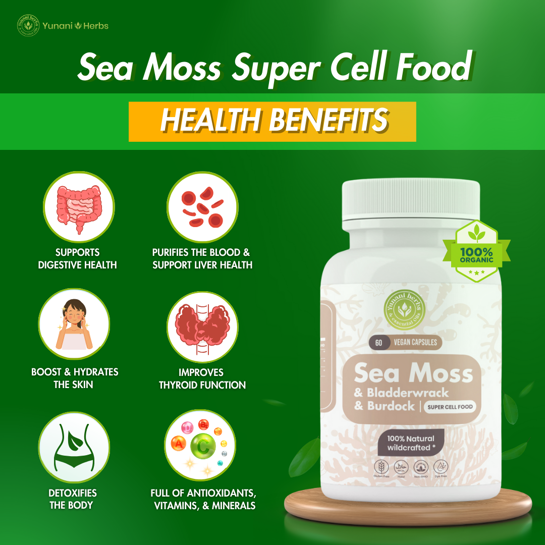 Sea Moss Bladderwrack Burdock 500mg each 60 vegan capsules