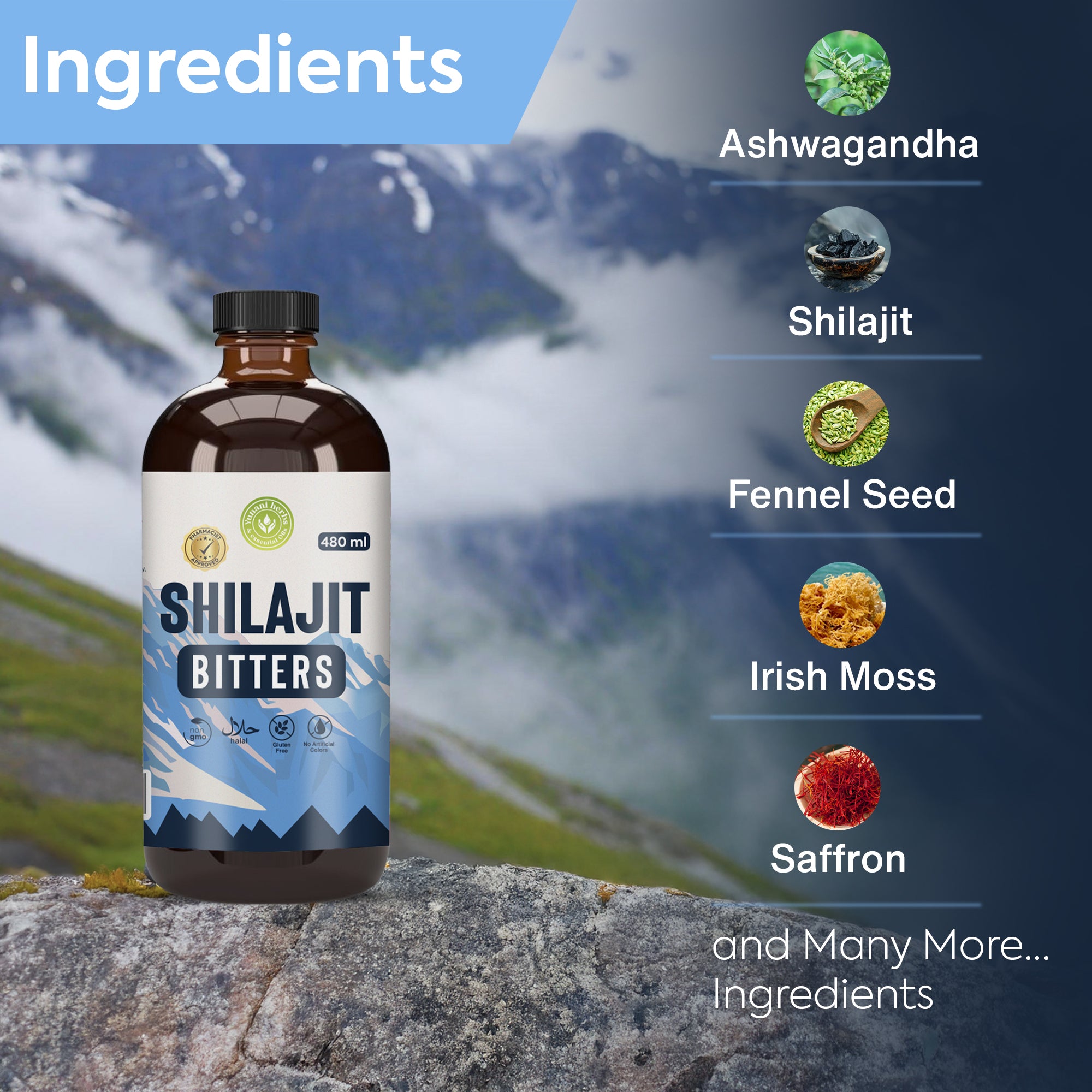 Shilajit Bitters 480 mls