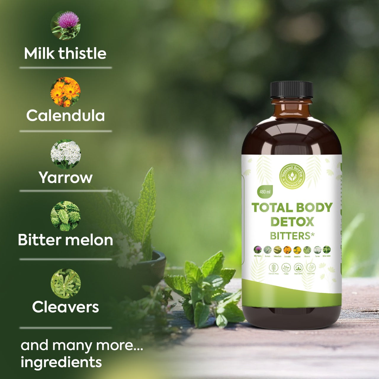 Body Detox 480ml