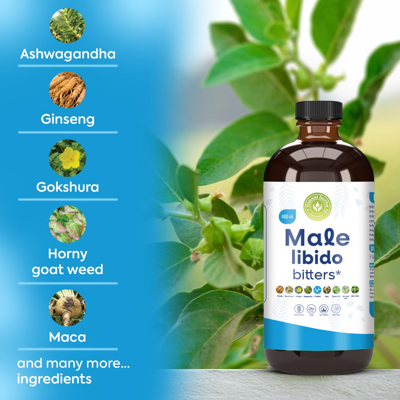 Yunani Herbs - Male Libido Bitters