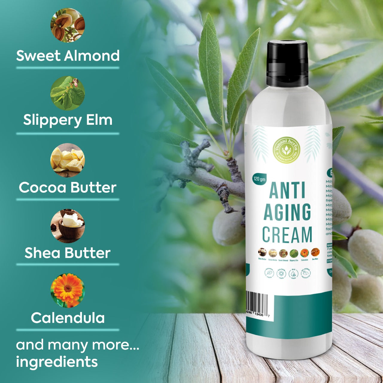 Yunani Herbs - Anti-Aging Cream