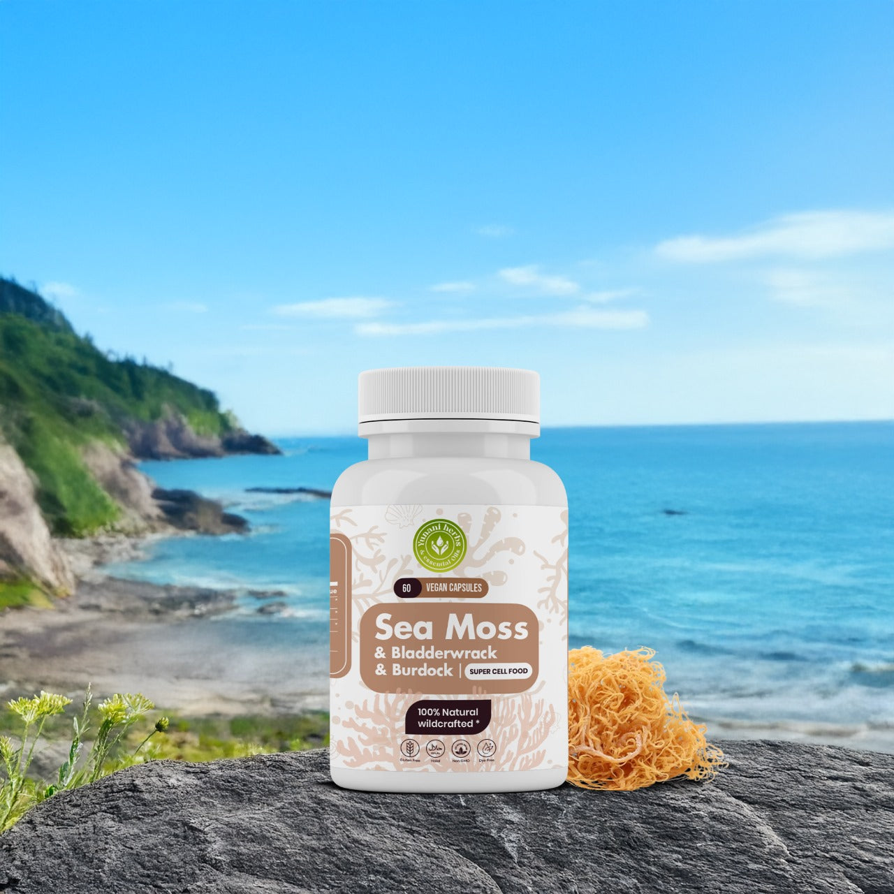 Sea Moss Bladderwrack Burdock 500mg each 60 vegan capsules