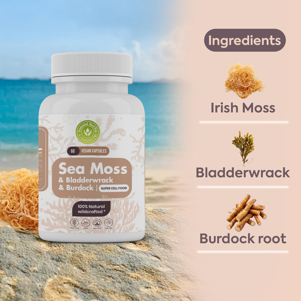 Sea Moss Bladderwrack Burdock 500mg each 60 vegan capsules