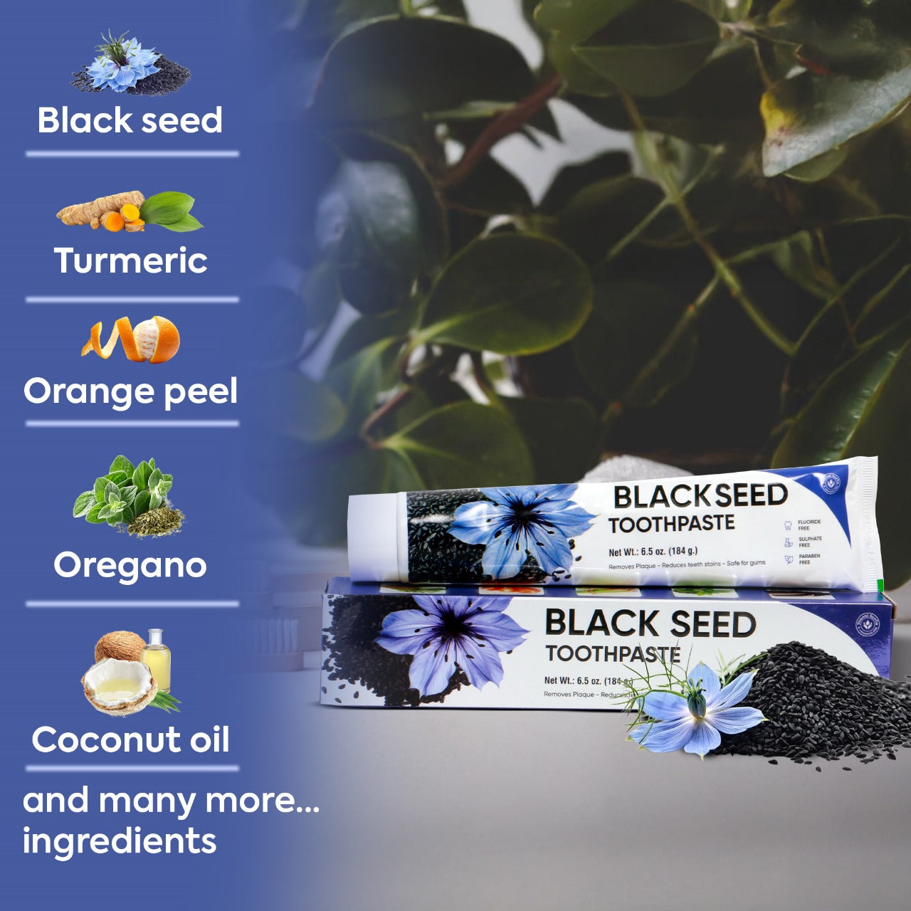 Black Seed Toothpaste Fluoride Free Paraben Free 6.5 oz 6 pack value