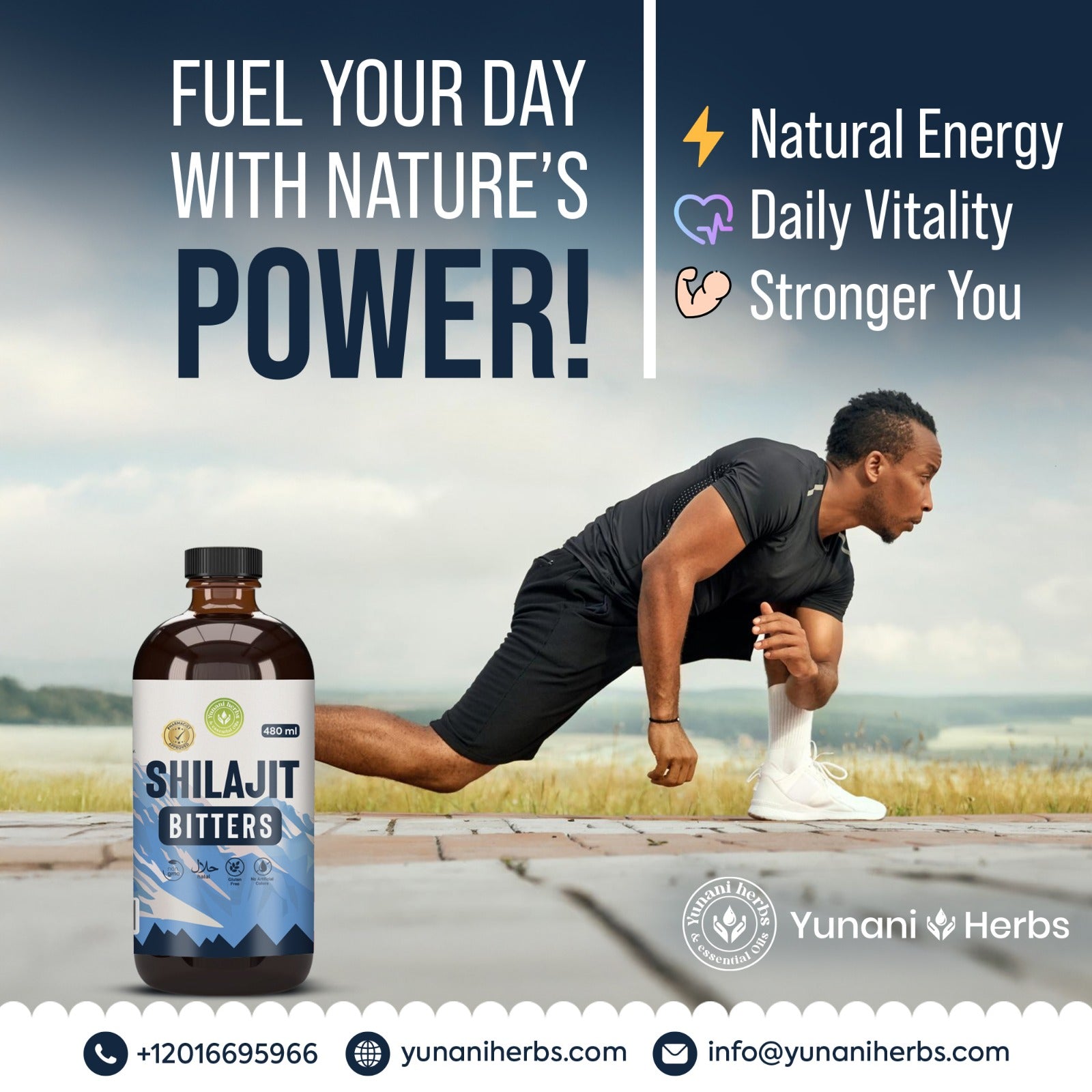 Shilajit Bitters 480 mls