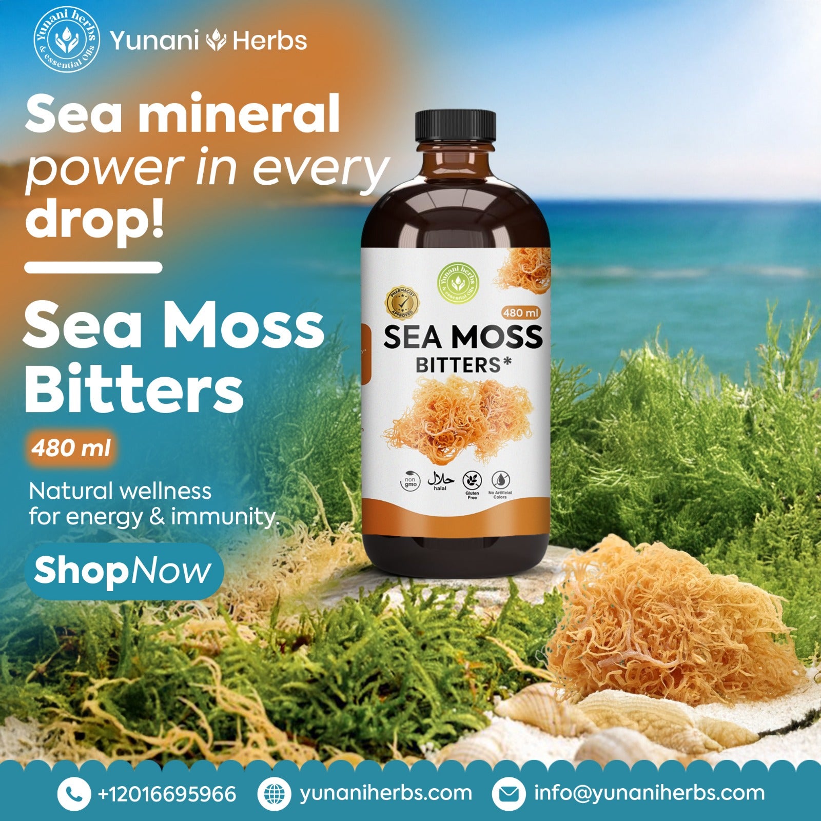 Sea Moss Bitters 480 mls